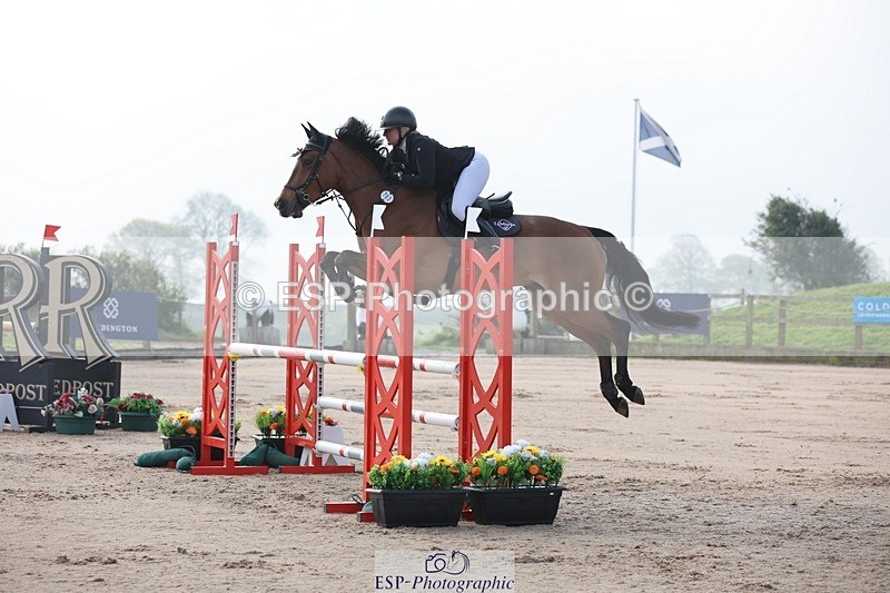 250424-084540-02501 - Cls 25 Young Horse 5yr old