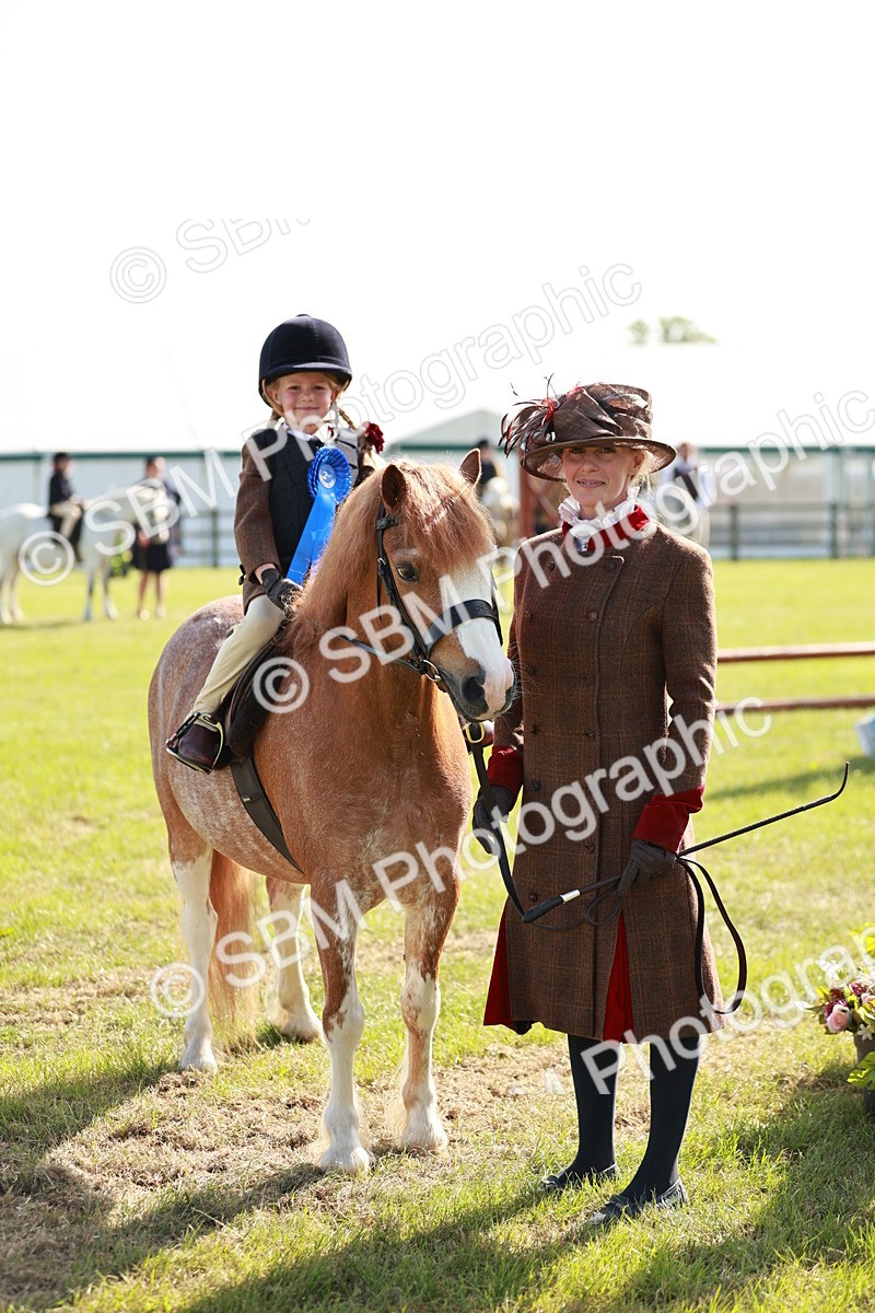 SBM_11309 - Class 106-107 - BSPS LIHS Working Sports Pony
