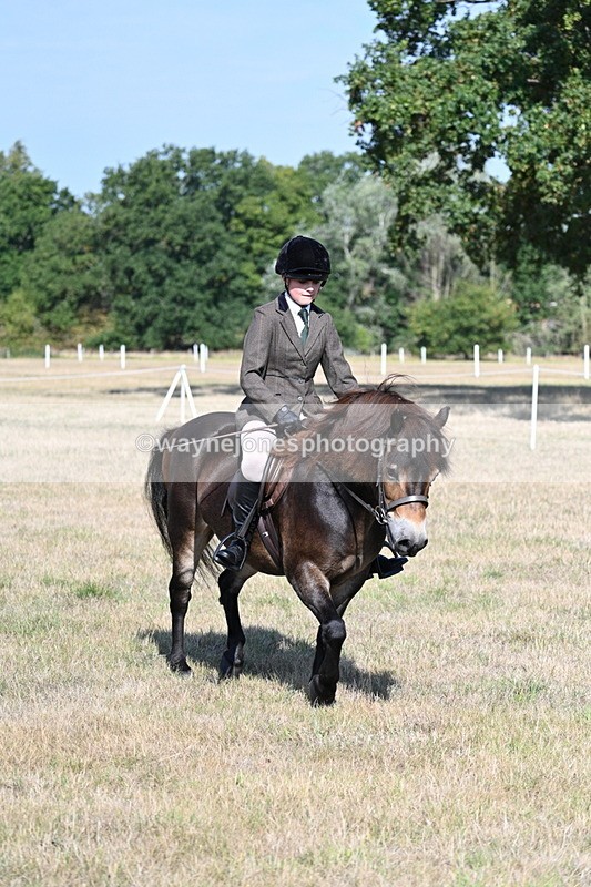 WJ7_2935 - Class 8 Ridden Tack & Turnout