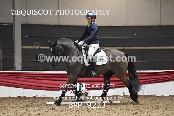 BPP_9223 - ELEM 6