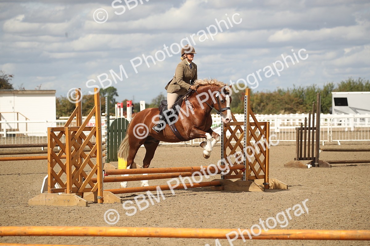 SBM_14554 - Class 505a - M&M Working Veteran - 50cm (15-19)