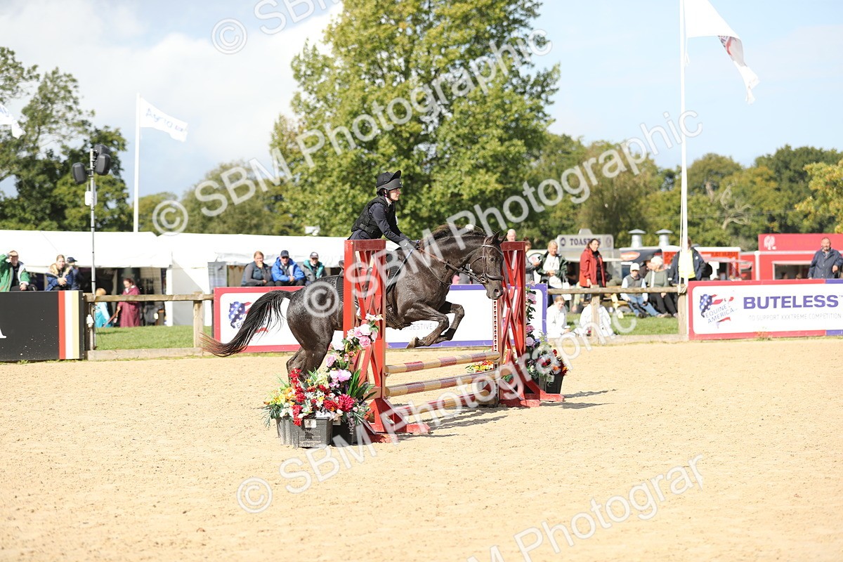 SBM_40240 - J21 - Junior Horse 60cm Championship