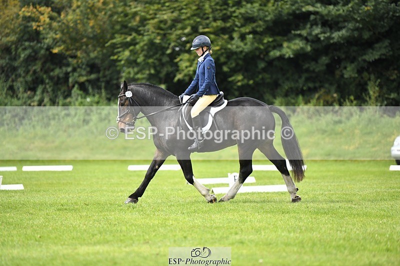 230826-112038-15830 - Sections C & D 10 to End