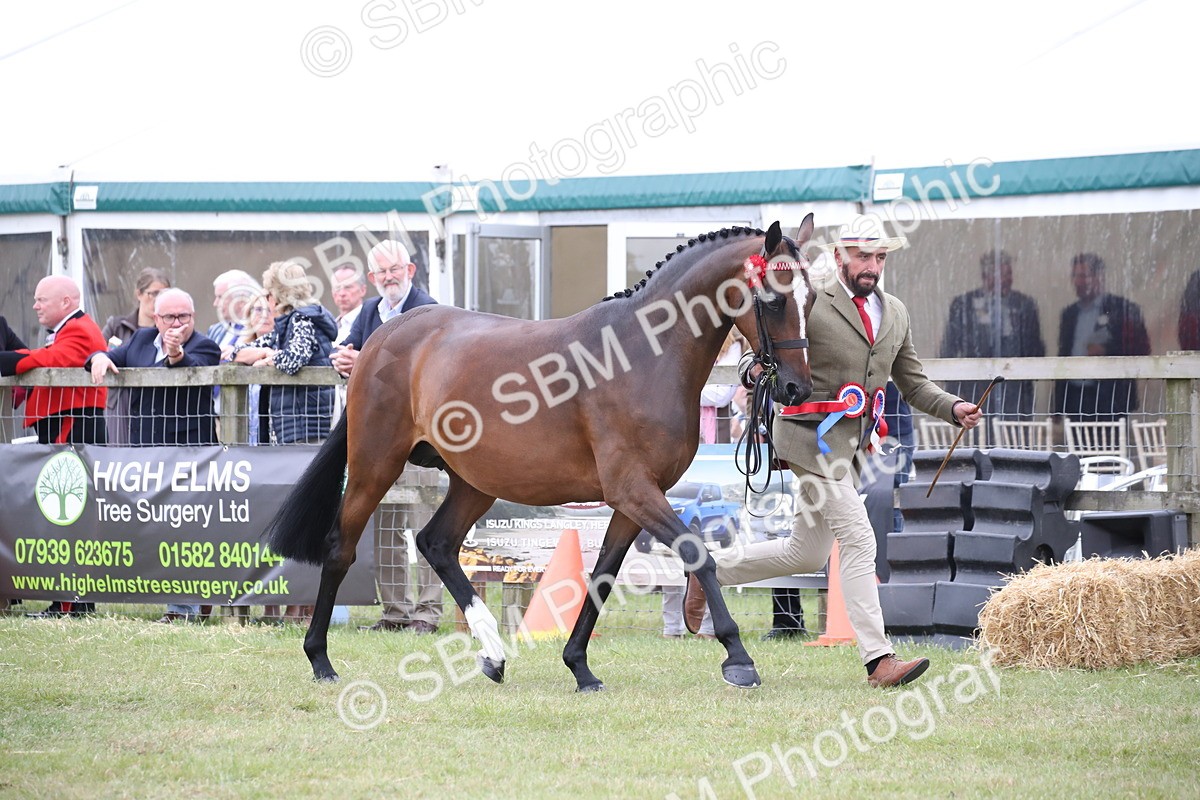 SBM_09780 - Ch 50 - Price Family Supreme In Hand