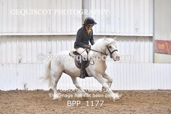 BPP_1177 - RING 2