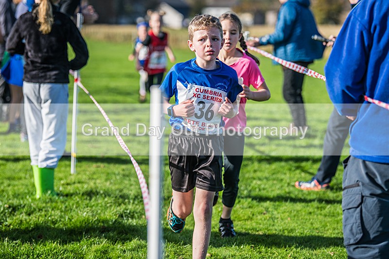 Cumbria XC-30 - Cumbria XC League Workington Saturday 26th October 2024