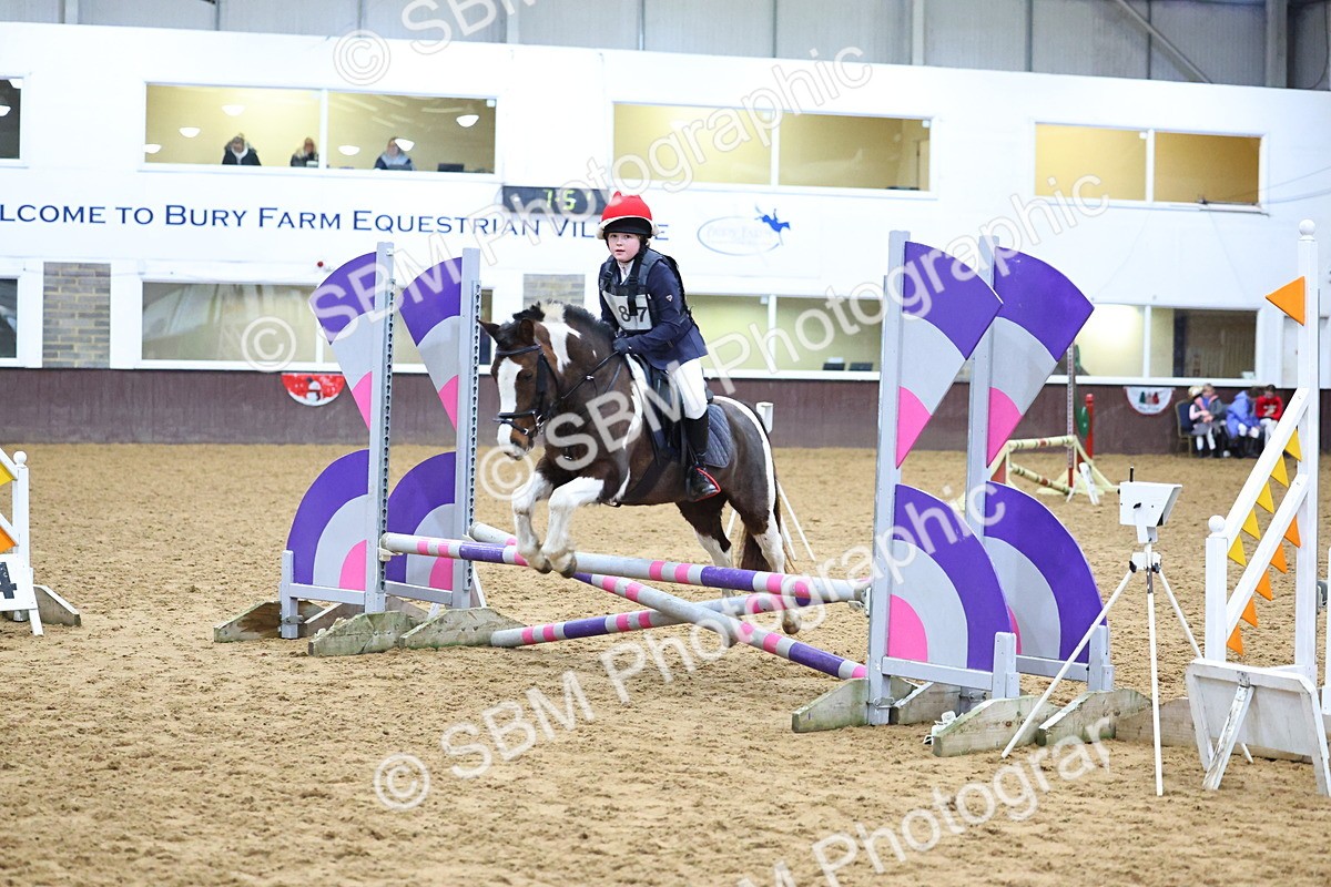 SBM_001222 - Class 3 - Christmas Tree Stakes - 60cm