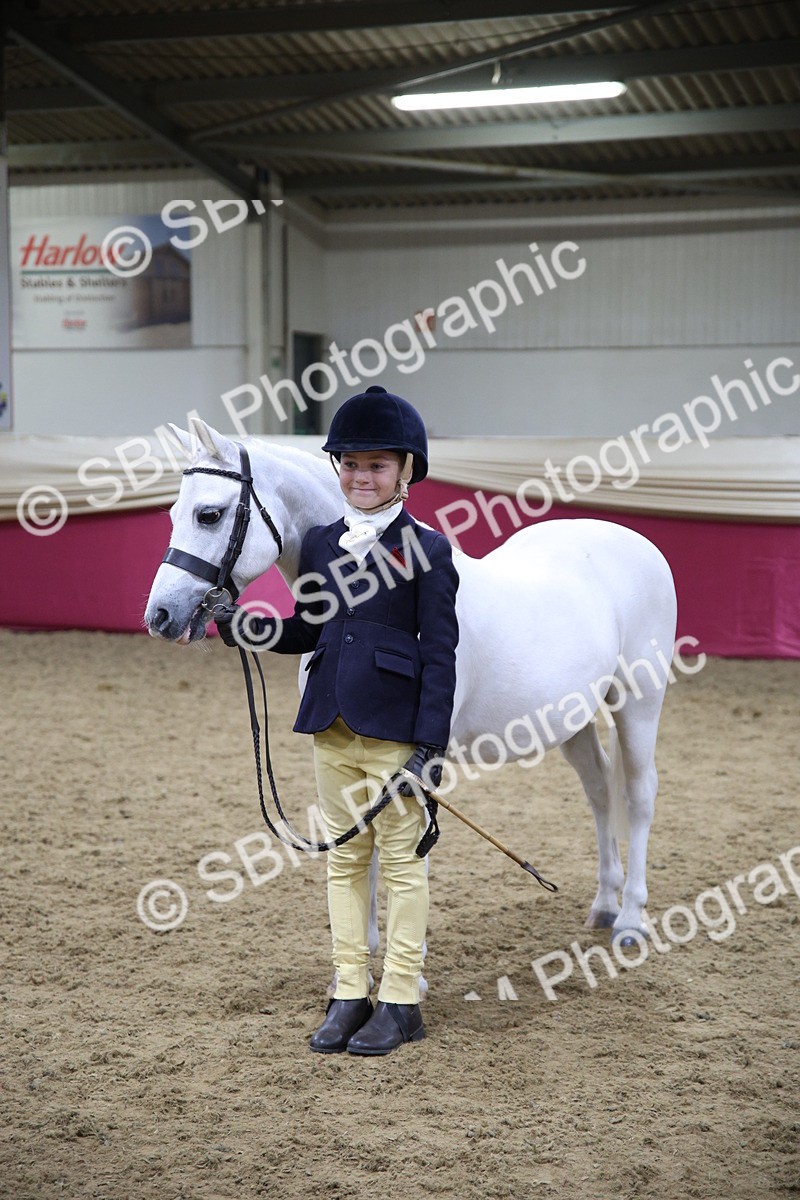 SBM_18762 - Class D IH Pony Champ