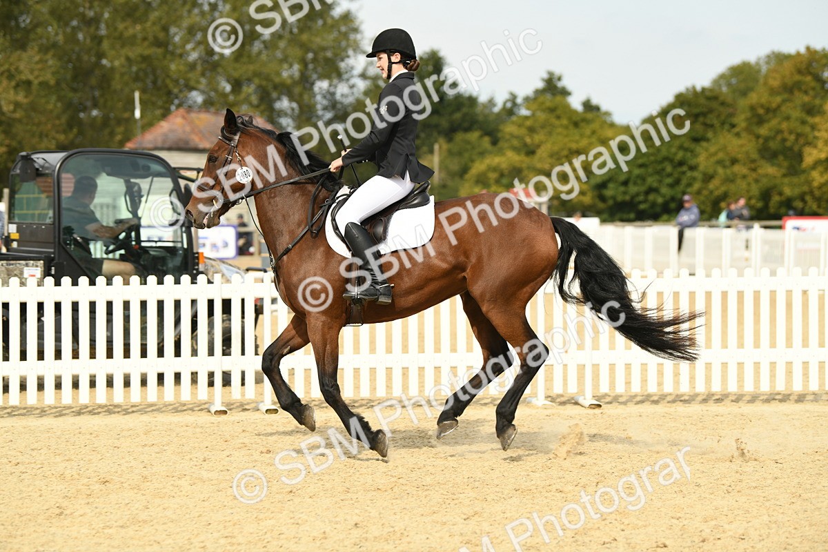 SBM_65323 - J48 - Pairs Jumping Open 70cm & 85cm