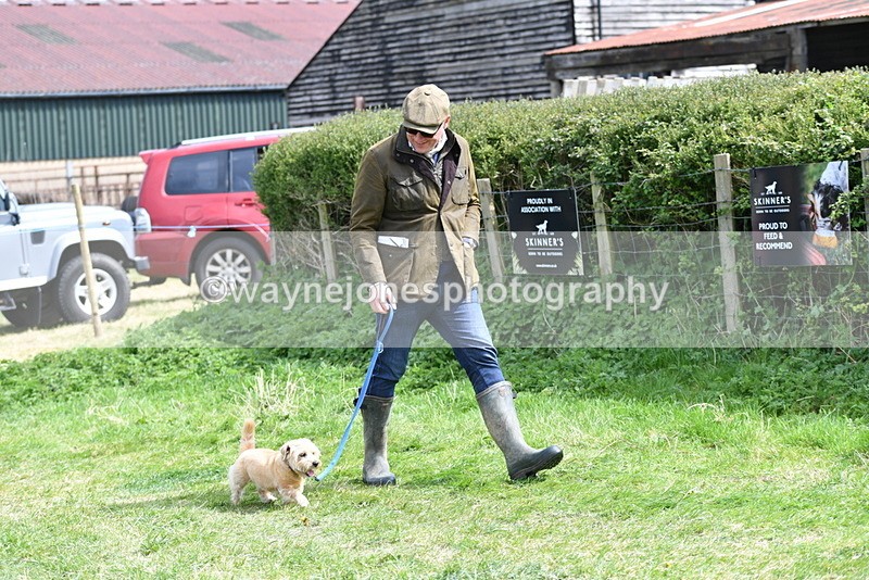 WJ5_0345 - Class 7 Best Terrier