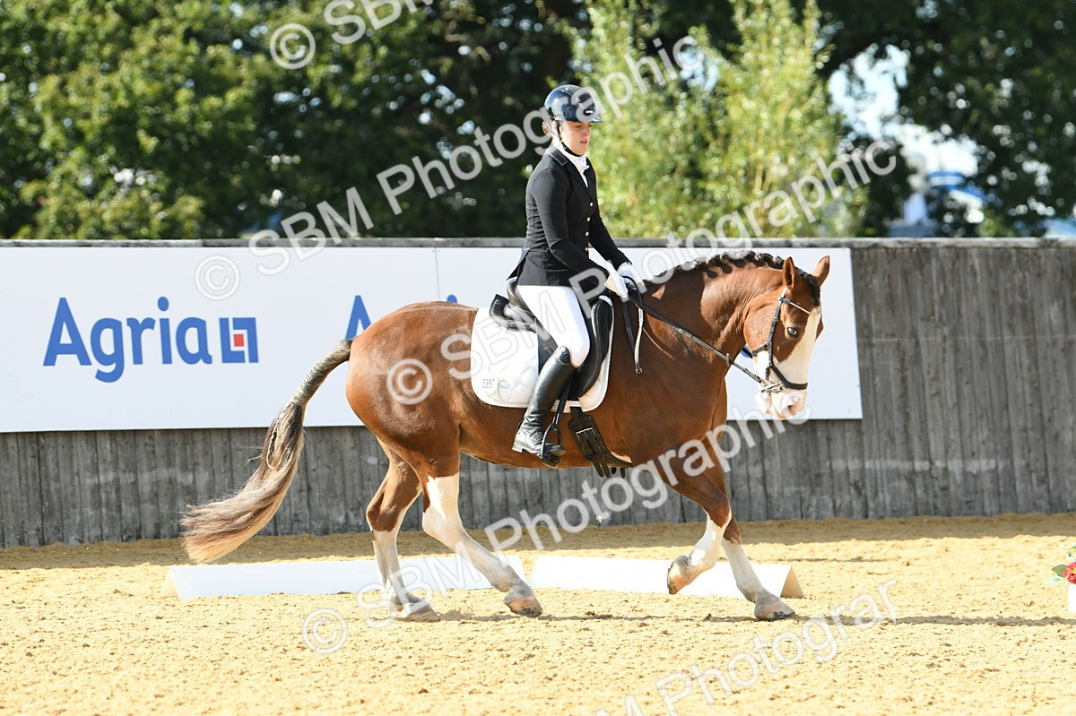 SBM_27101 - D16 - Small Tour Championship - Novice 28