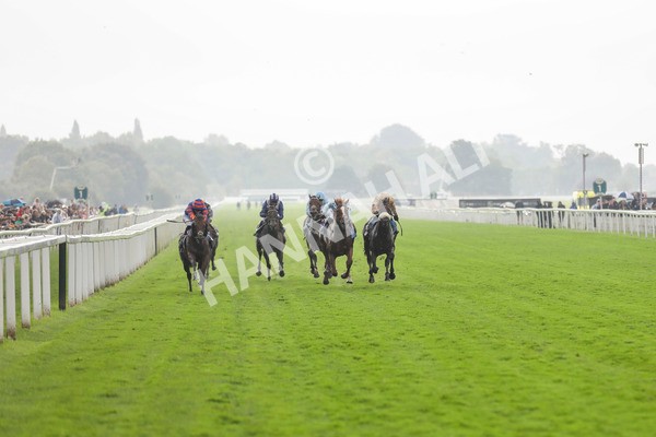 080924-Race 4-Zain Blue-4460 - Race 4 3.25pm PJ Staffing Group Handicap