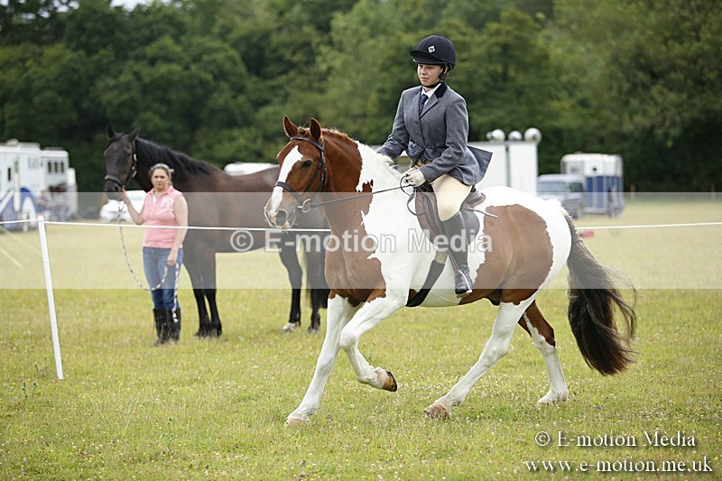 BVR160717-67 - Ring 1 BVRC Show 16/07/17