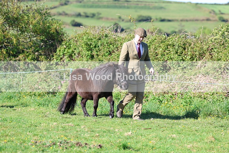 3E7A8312 - Class 12: M & M Small Breeds