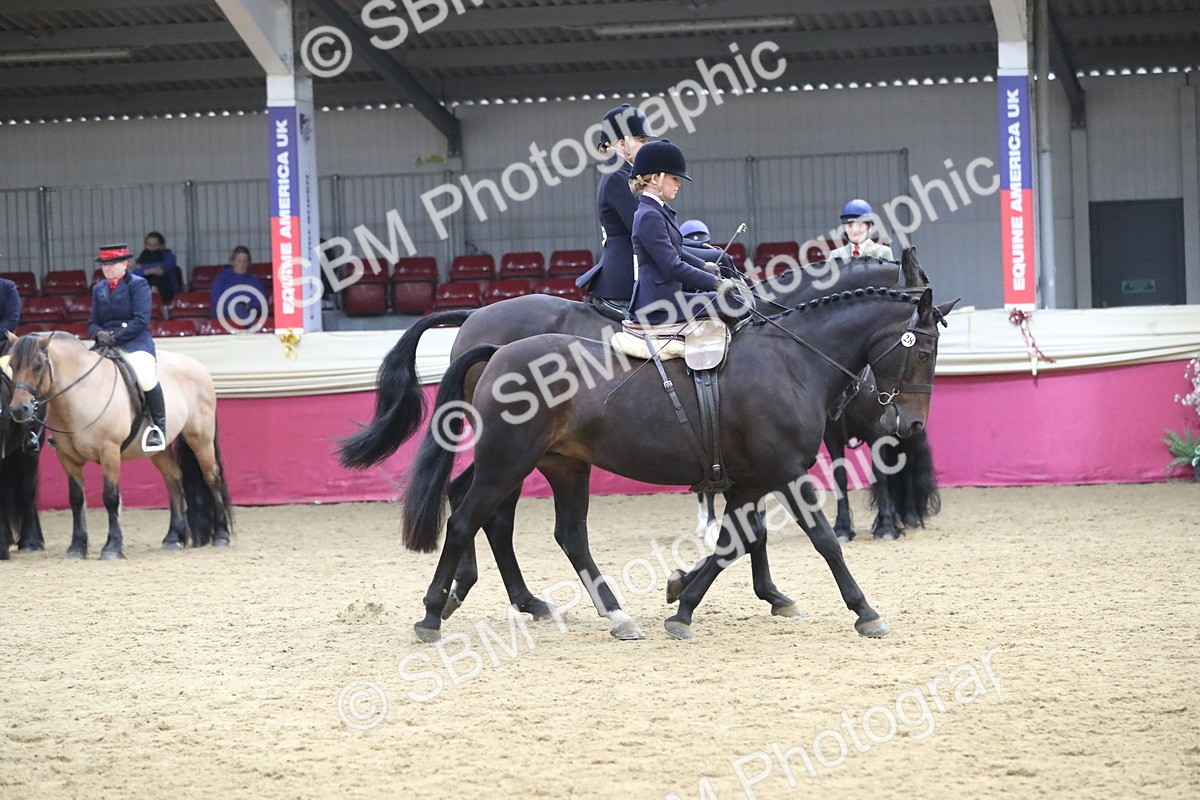 SBM_13066 - Class 109 Ridden Pairs- Section A