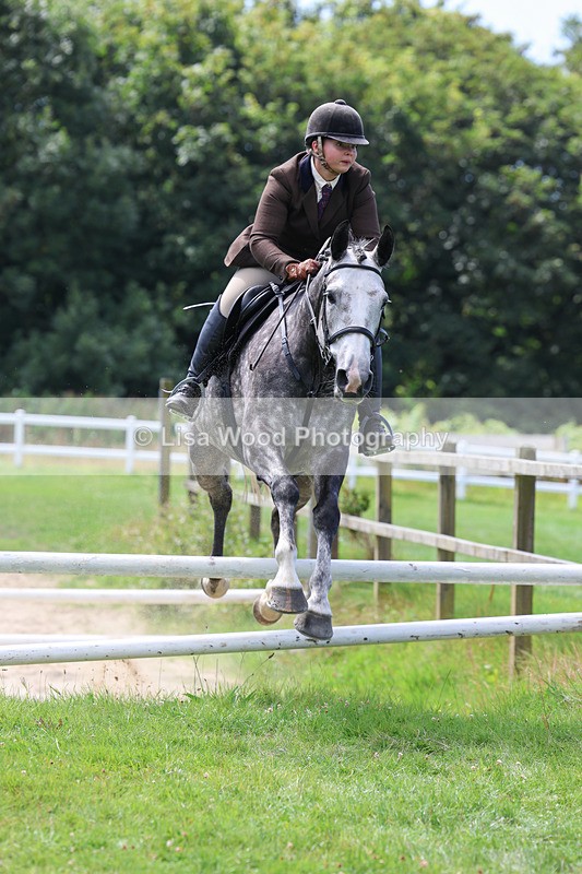 3E7A8874 - Class 6: Open Working Horse