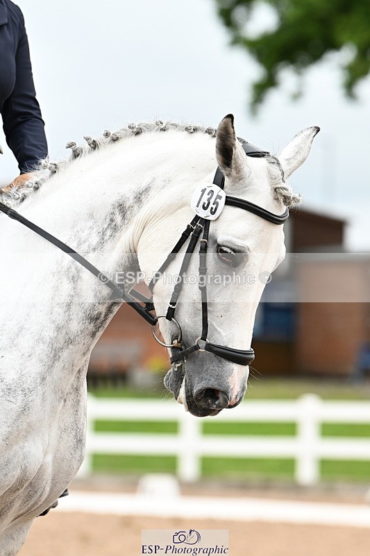 240623A-135646-19131 - Cls 5+6 Novice 27+30