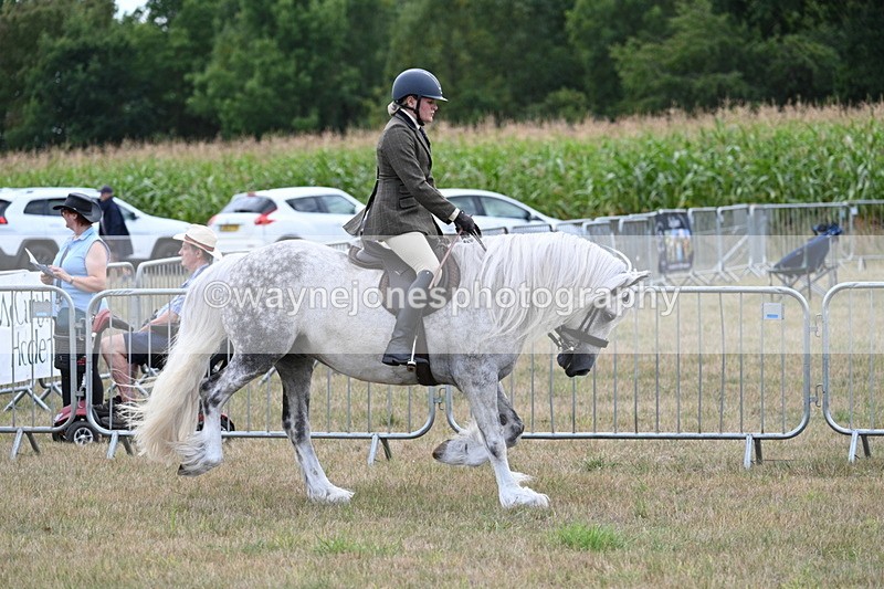 WJ7_5257 - Class 12 Ridden Cob