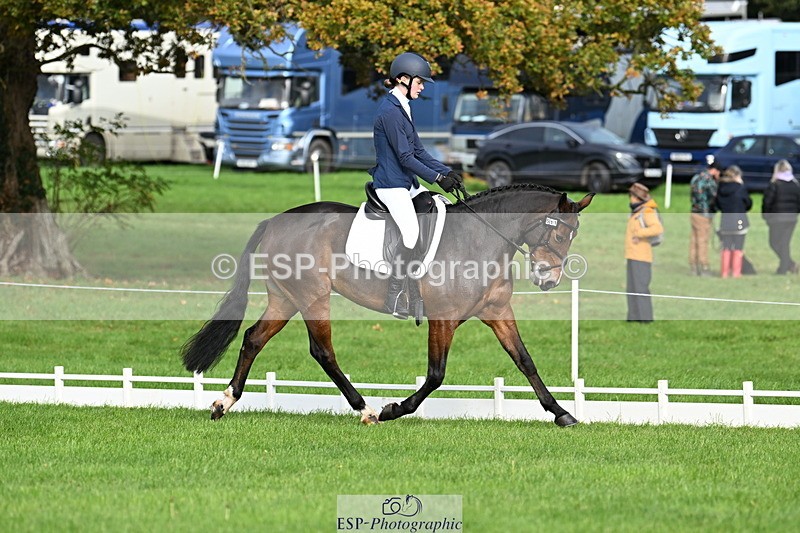 251023A-105820-02657 - G-511-Clara.Tuke