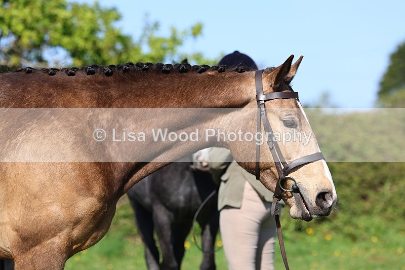 3E7A9042 - Class 15: Two/Three Year olds