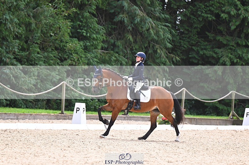 240809-121120-00693 - 211-Amelia.Dovey-Caederwen.Lady.Elinor