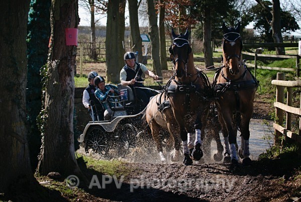 _DSC0201 - Ashfields Carriage & Polo Club