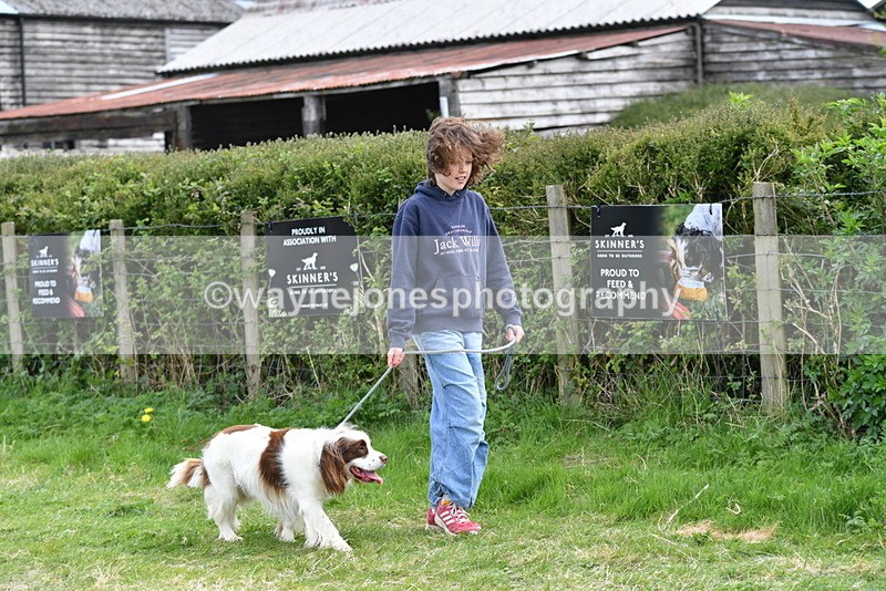 WJ5_9949 - Class 5 Best Veteran / 7 years & over