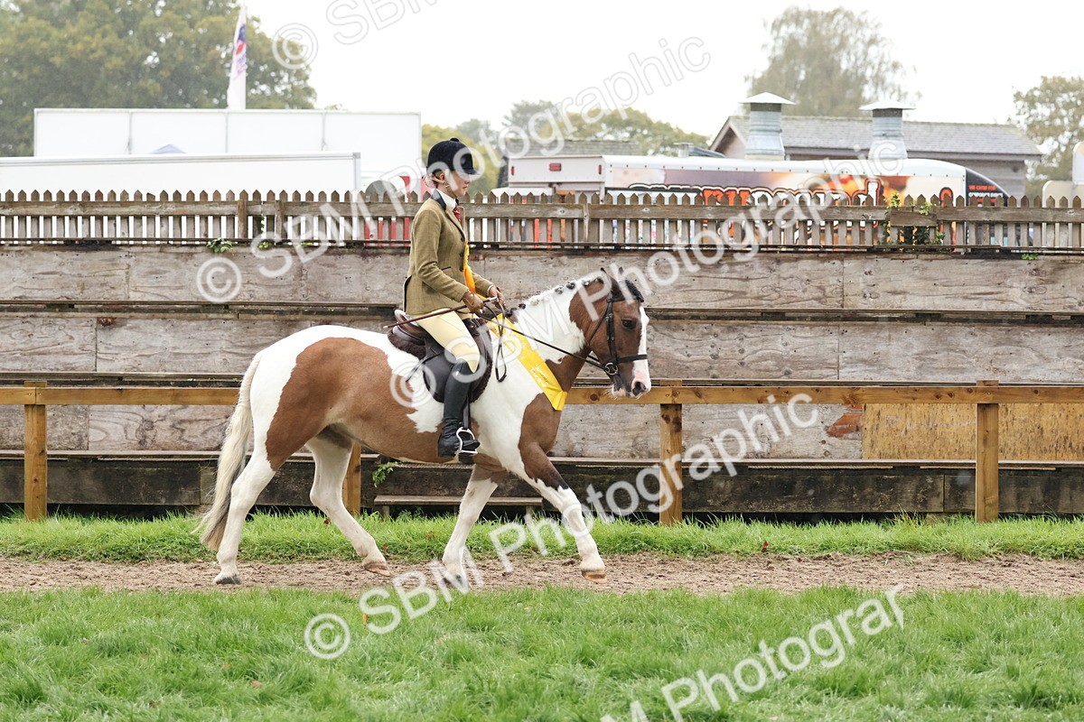 SBM_73102 - Ridden Pony Supreme Championship