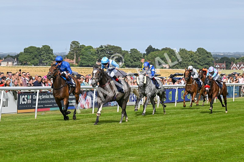 140824-Race 5-Havana Blue-6672 - Race 5