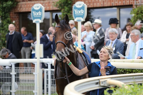 yr19082022r4-2 - Race 4 3.35pm Coolmore Wootton Bassett Nunthorpe Stakes (British Champion Series Race)