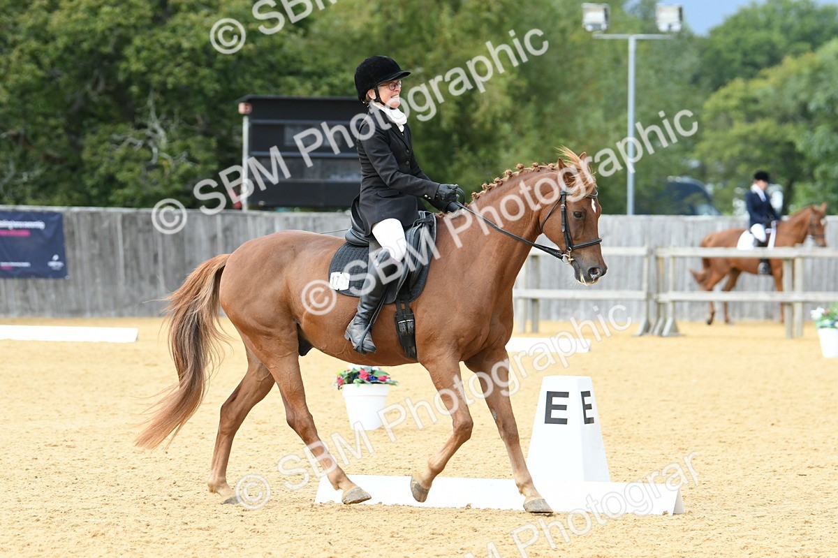 SBM_10974 - D28 Elementary Taster Elementary 42