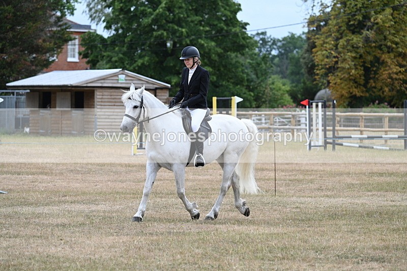 WJ7_0356 - Class 6 Ridden Mountain and Moorland
