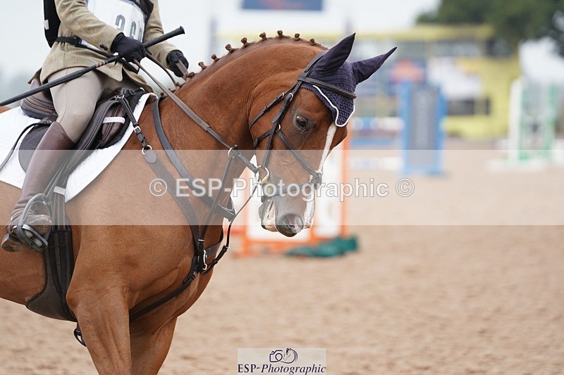 240901A-110704-06526 - 368-Melissa.Joannides-STELLA.NOVA