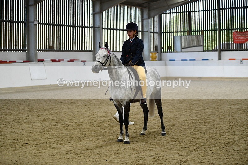 WJ5_7734 - Class 13 Ridden Part Breed