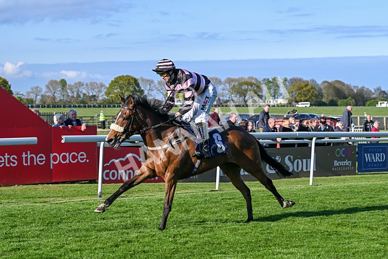 240425-Race 8-Kimeko Glory-1955 - Race 8