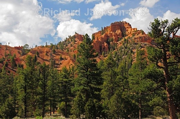 IMG: 0340 - Red Canyon; Utah