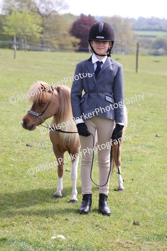 20260426-3238 - Class 26 - Shetland Ponies and Minitures