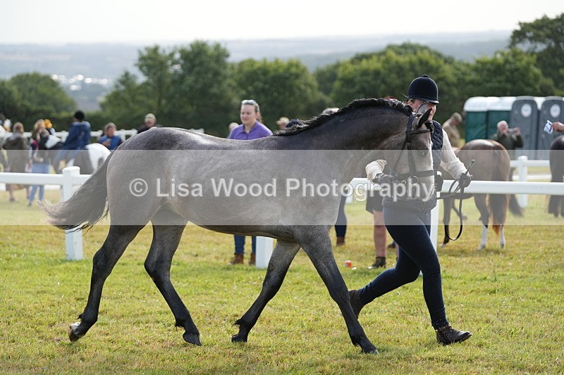 DSC04790 - Class 47: NPS M&M Yearling