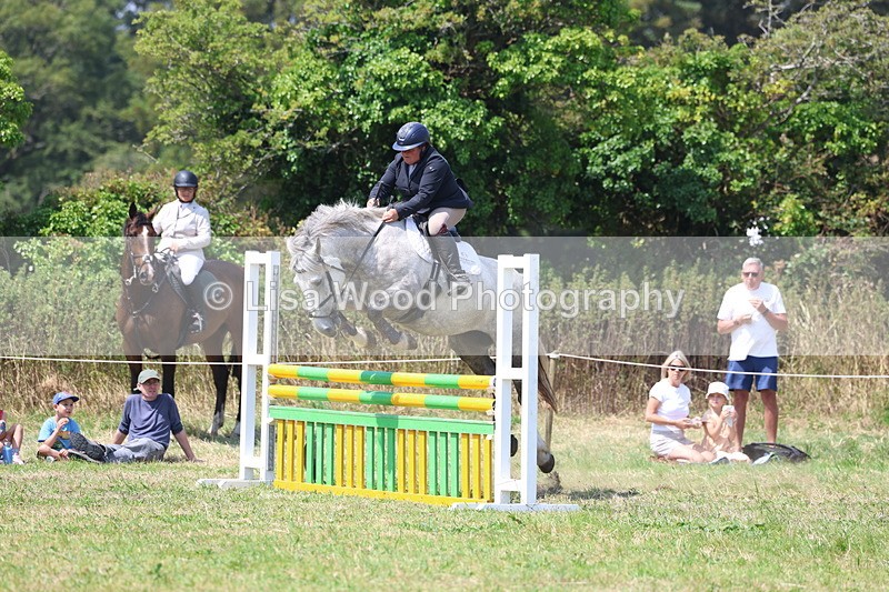 3E7A2944 - Class 7: Senior British Novice/90cm open
