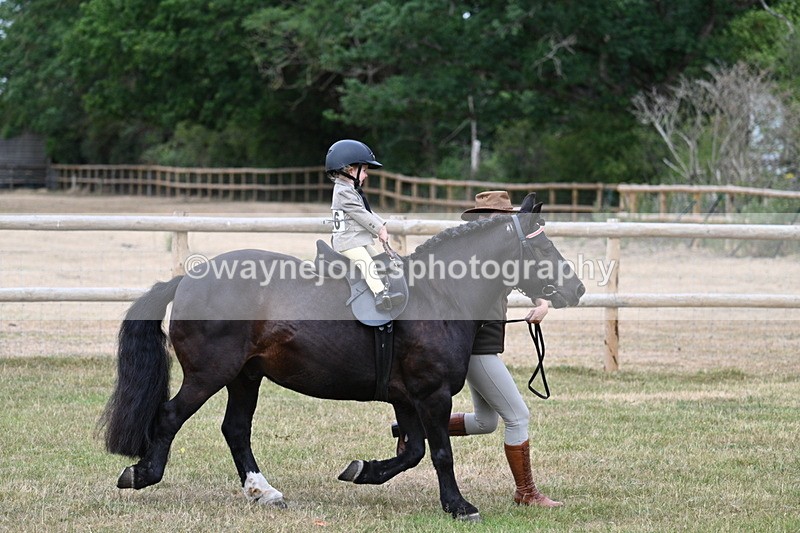 WJ7_9673 - Class 1 Lead Rein Pony