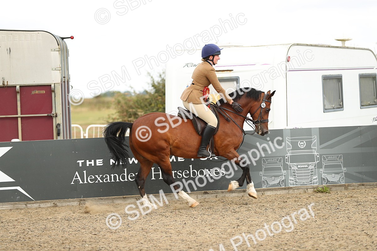 SBM_04899 - Class 47a Style & Performance 60cm (15-19)