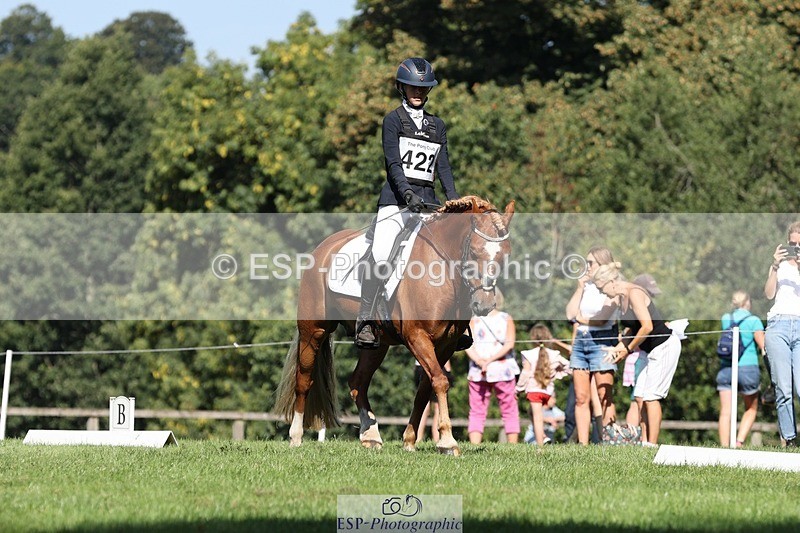 250823A-103605-27738 - Arena D