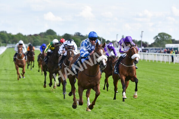 yr11052022r7-23 - Race 7 5.15pm British Stallion Studs EBF Novice Stakes