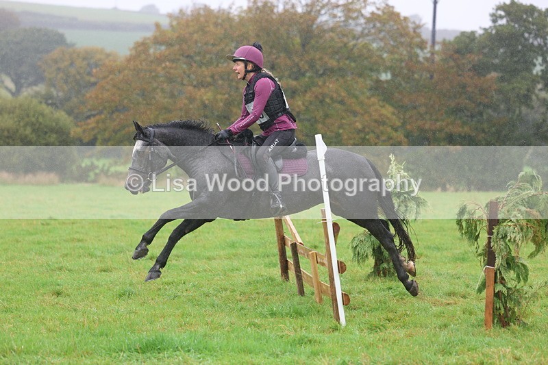 3E7A0980 - Class 1: 65cm: Rails