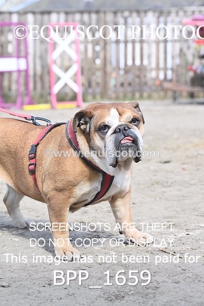 BPP_1659 - CLASS 5 80CM