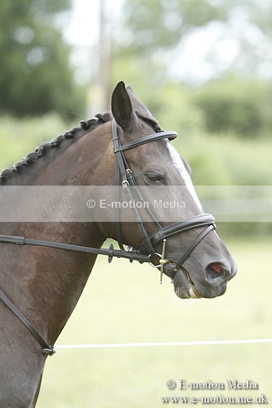 BVR160717-1776 - Ring 3 BVRC Show 16/07/17