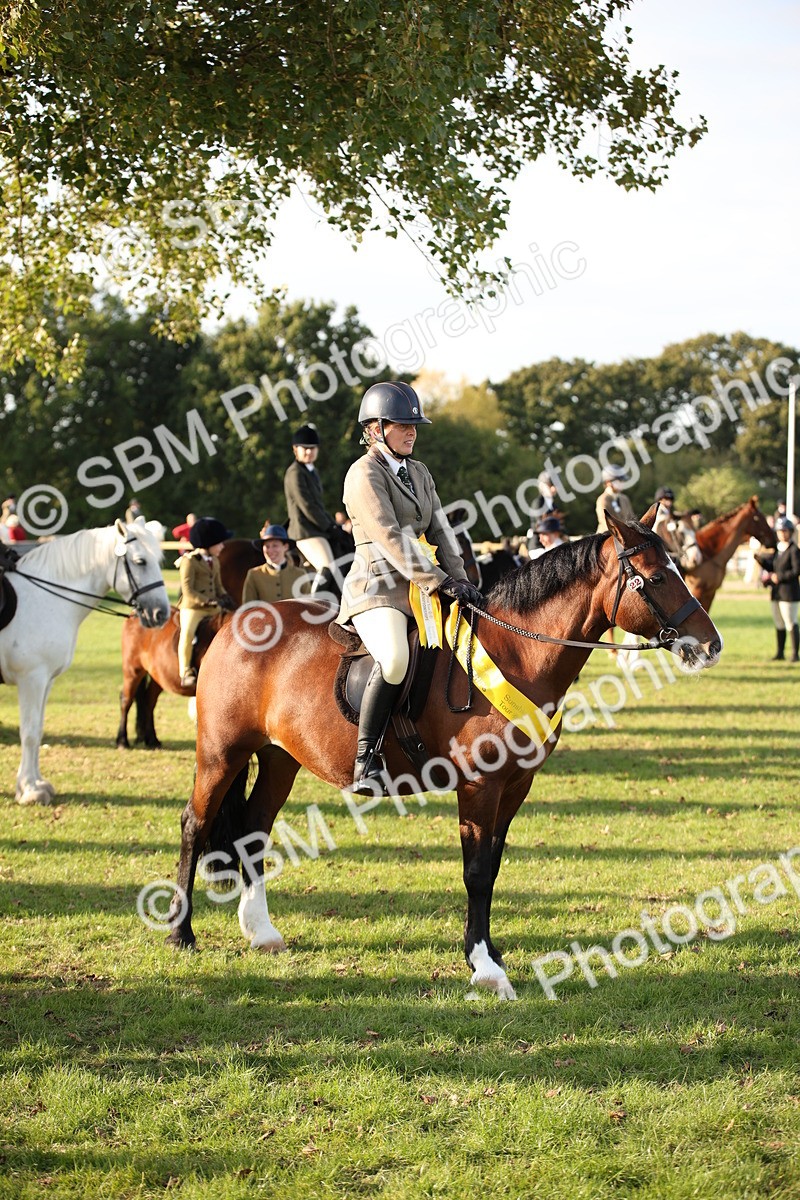 SBM_54360 - S27 - Mature Veteran - Ridden