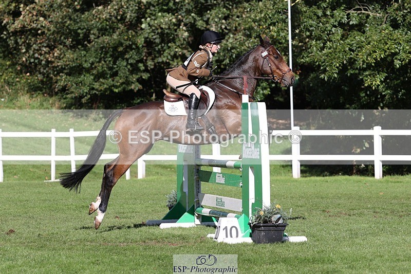 231022-125547-27415 - 450-NORDIC.FIRE-Lara.Hails-TrotUp+SJ