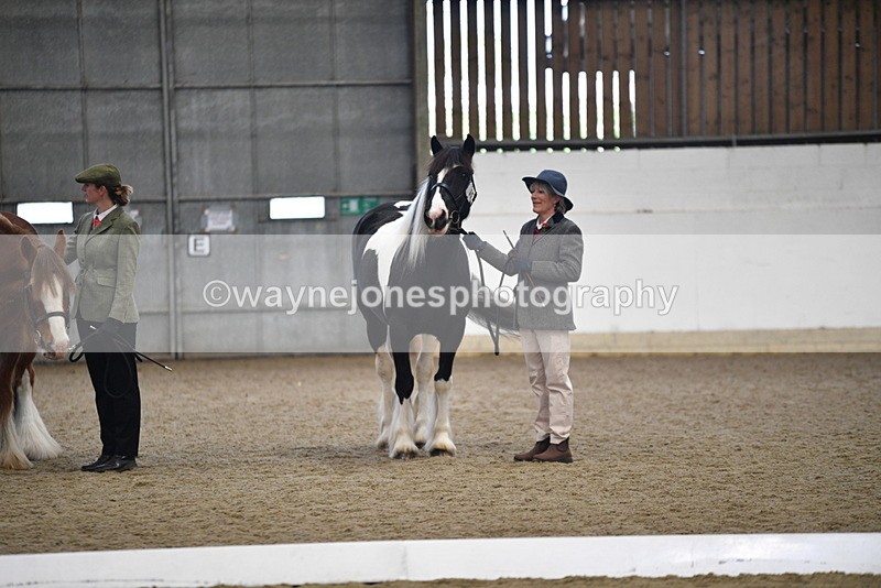 WJ5_5581 - Class 4 In hand M&M - small breeds