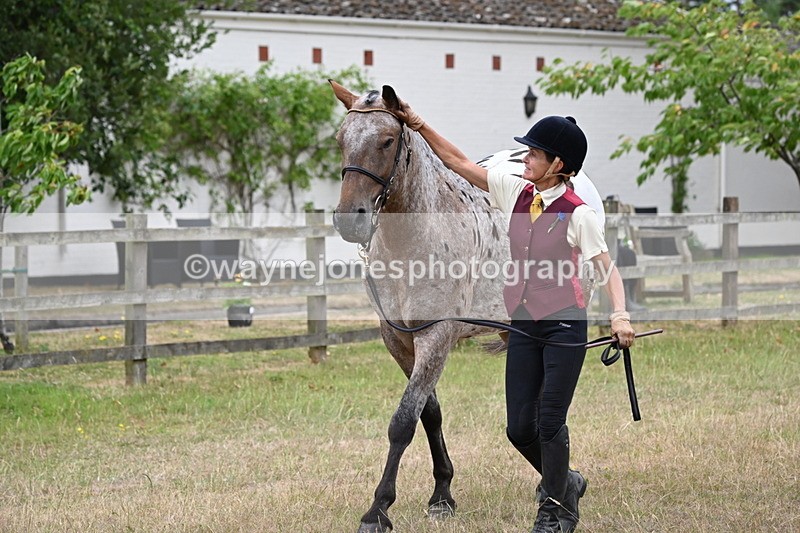 WJ6_8002 - Class 10 Coloured in Hand